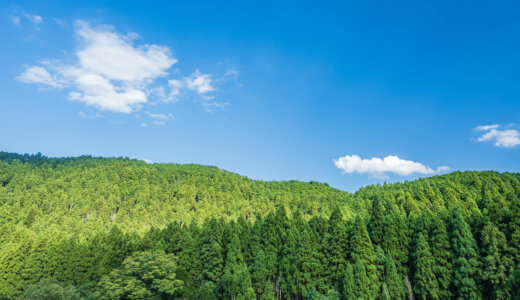 SDGsと林業の関係は深い「森が海を育てる」ことから考える、持続可能な働き方も